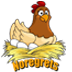 Noregrets Logo